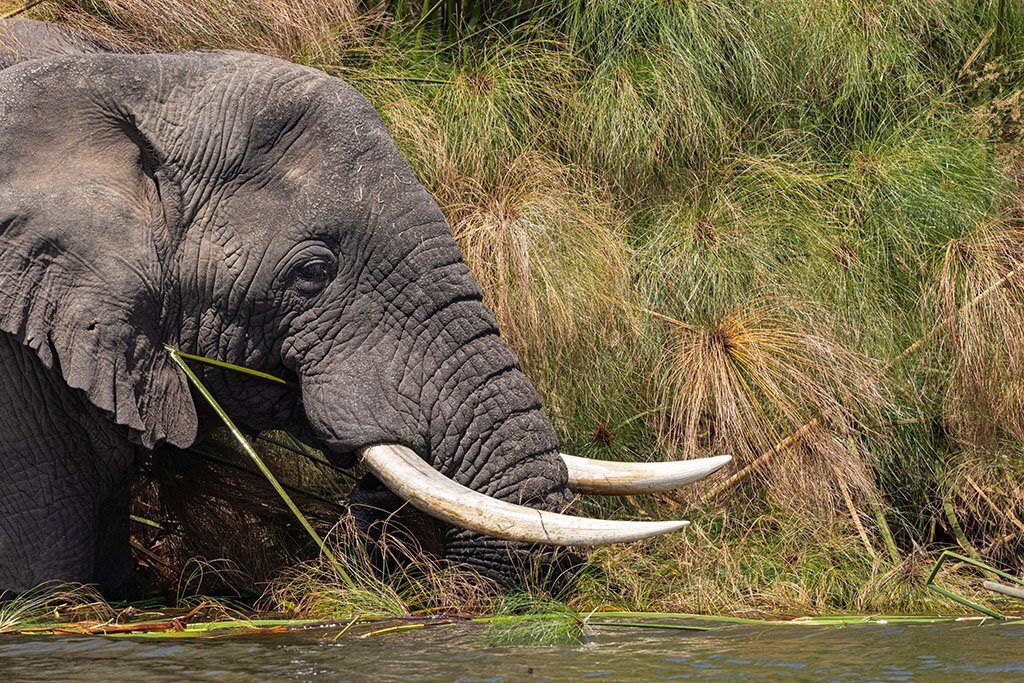 Rwanda experience