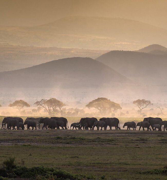 Kenya experience