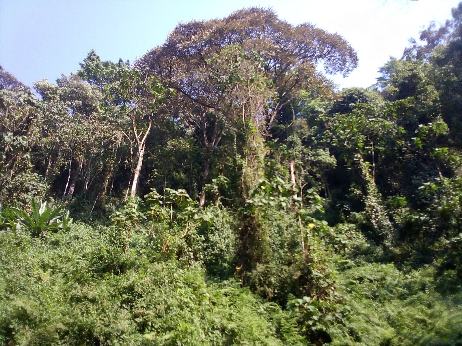 Burundi experience