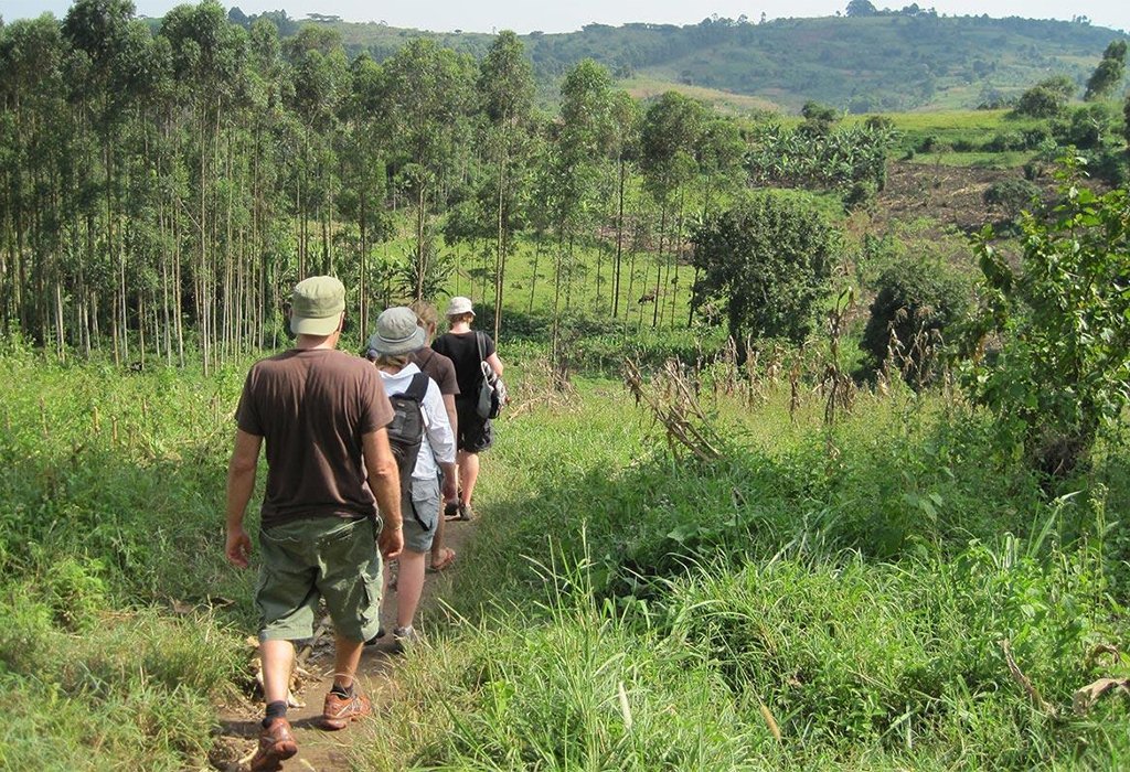 Guided East Africa forest experience