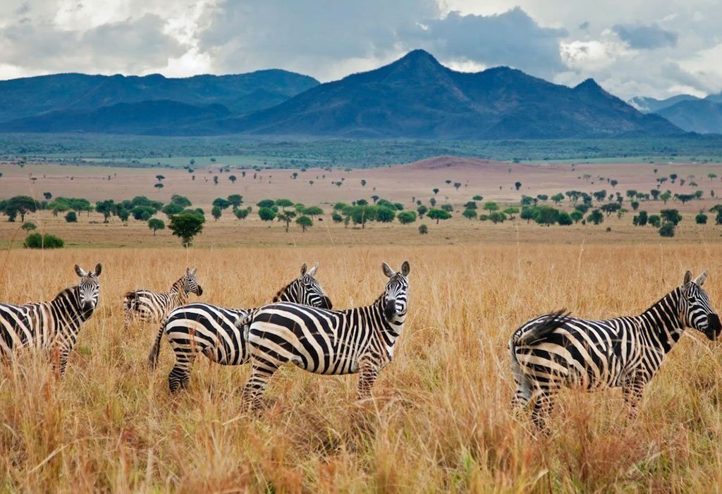 Murchison Falls National Park