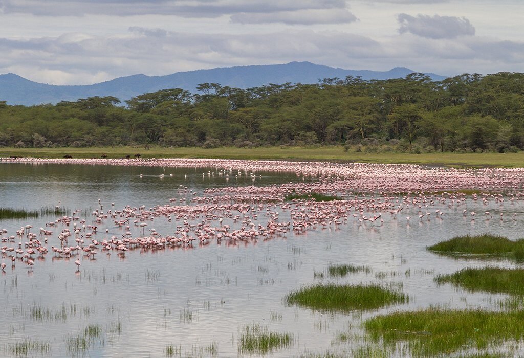 Day 4: Lake Nakuru