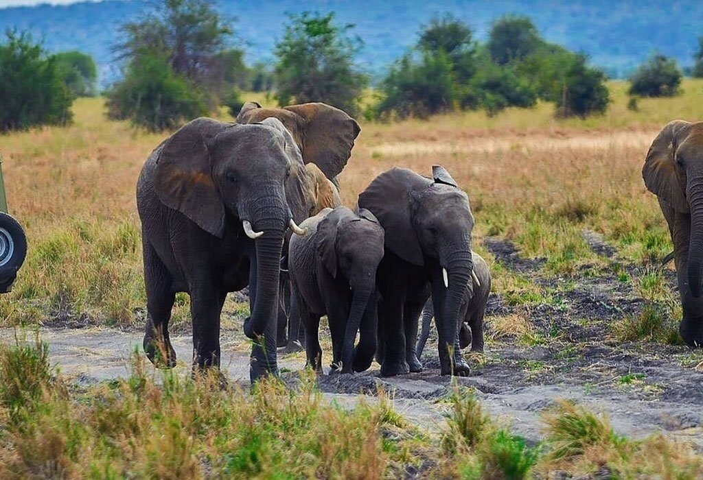 Kenya
