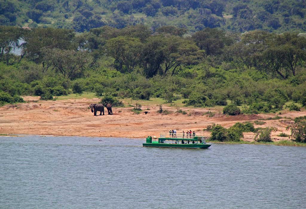 5-Day Uganda Gorilla & Savannah Wildlife Safari