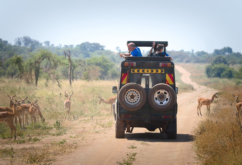 2-Day Akagera National Park Wildlife Safari