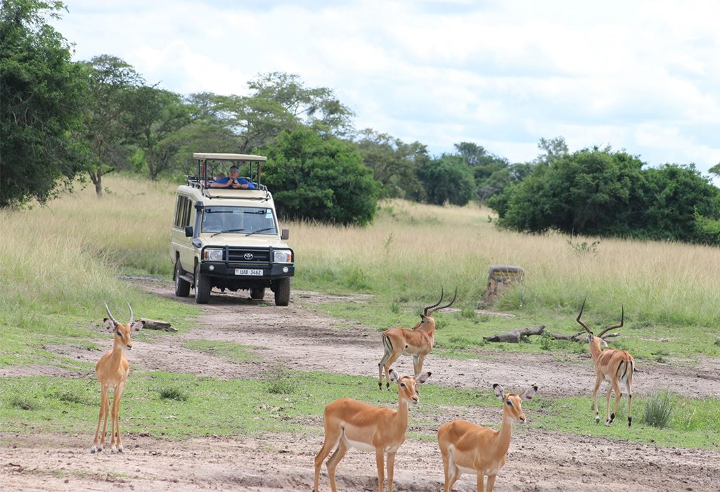 Game-Drives-in-the-Lake-Mburo