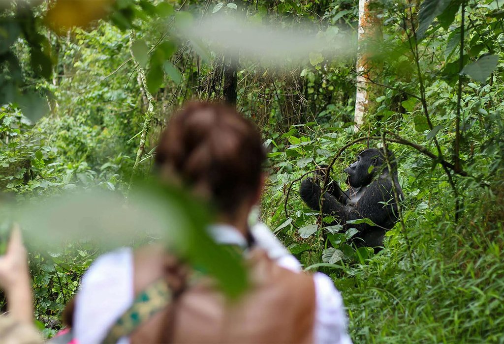 Responsible travel across Uganda natural landscapes