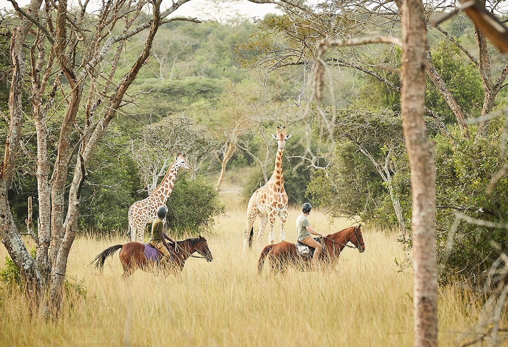 Horseback Safaris