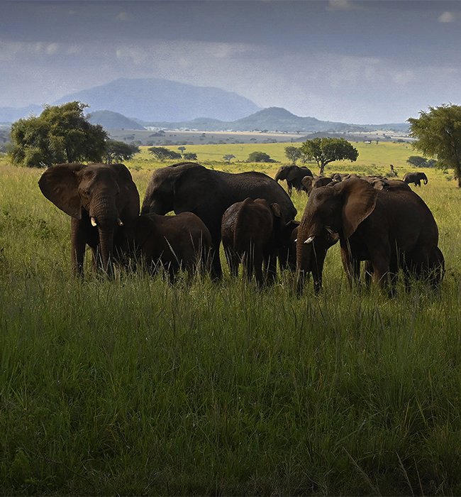 Kidepo Valley National Park