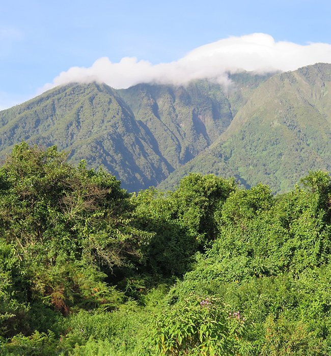 Mgahinga Gorilla National Park