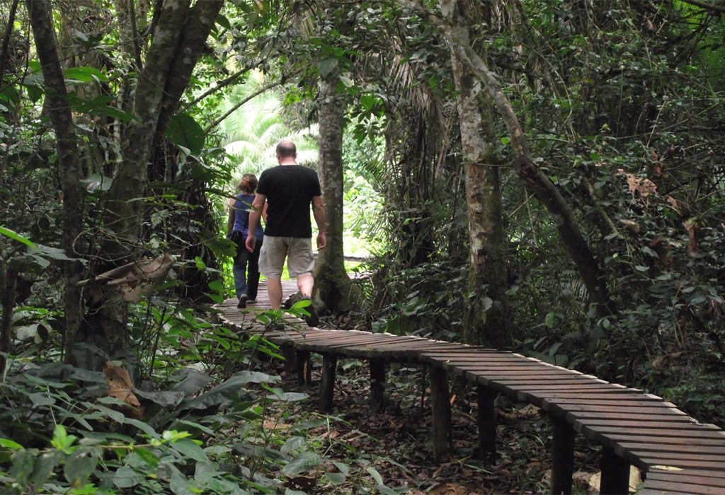 Nature-Walks-in-Gishwati-Mukura-National-Park