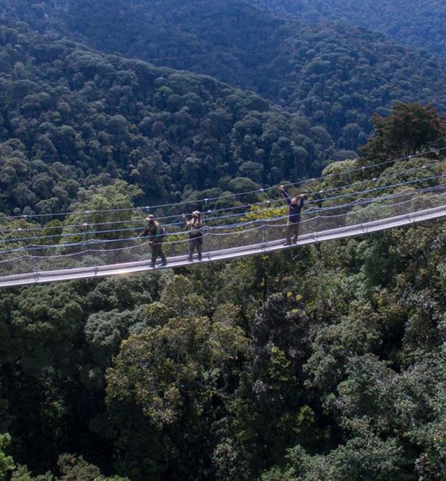 Nyungwe Forest National Park