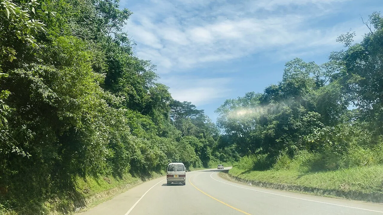 Road through the green rainforest of Kibale National Park in western Uganda