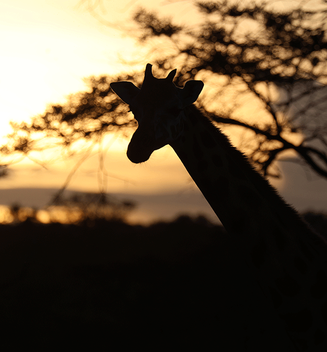 Lake Mburo National Park