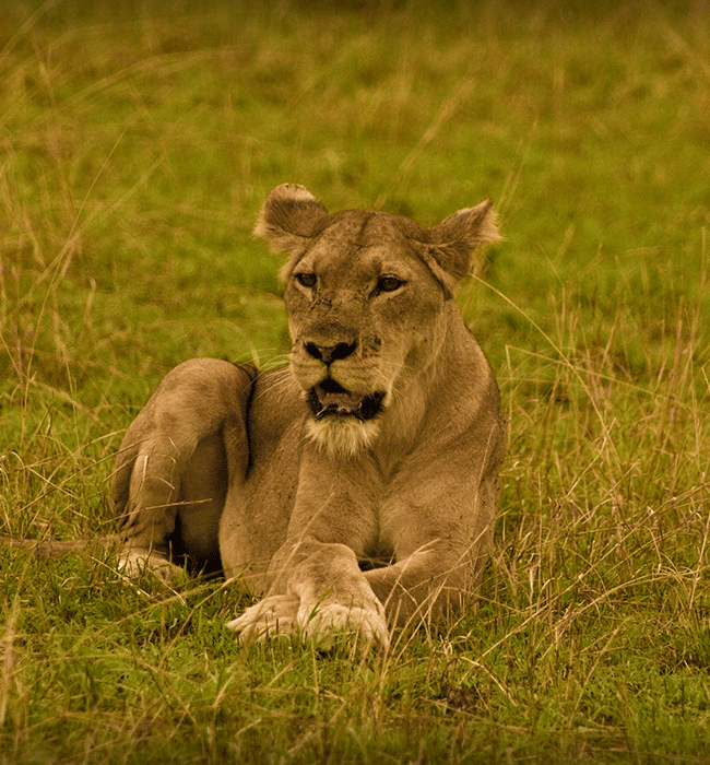 Queen Elizabeth National Park
