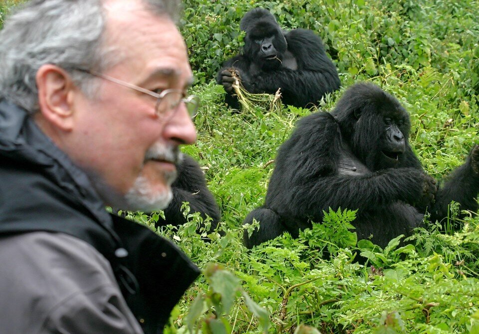 Kigali to Volcanoes National Park Guide