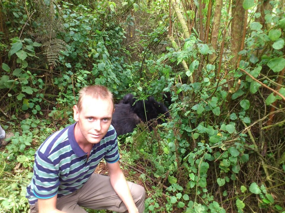 how difficult is gorilla trekking in Uganda