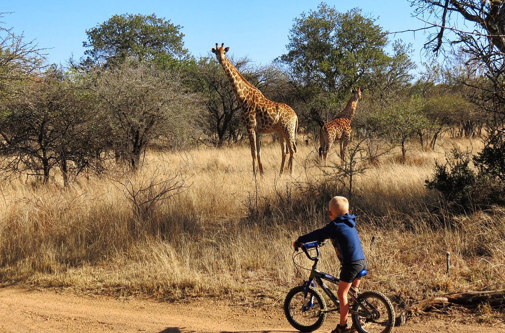 New Uganda tourism experiences