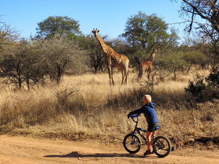 New Uganda tourism experiences