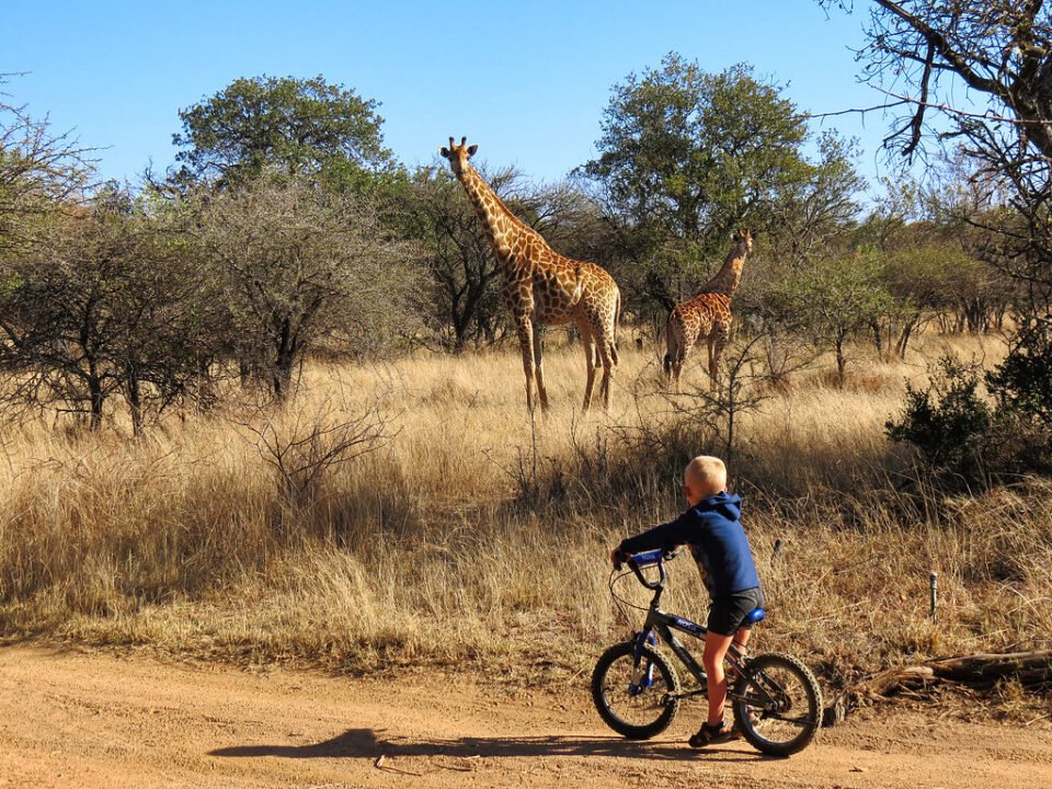 New Uganda tourism experiences