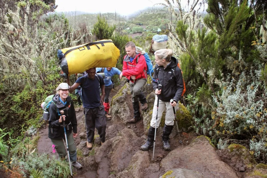Bwindi Impenetrable Forest Uganda
