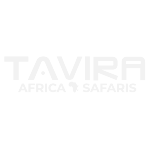 Tavira Africa Safaris