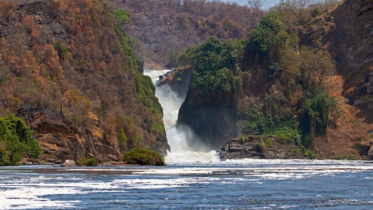 Best Uganda National Park for wildlife safaris