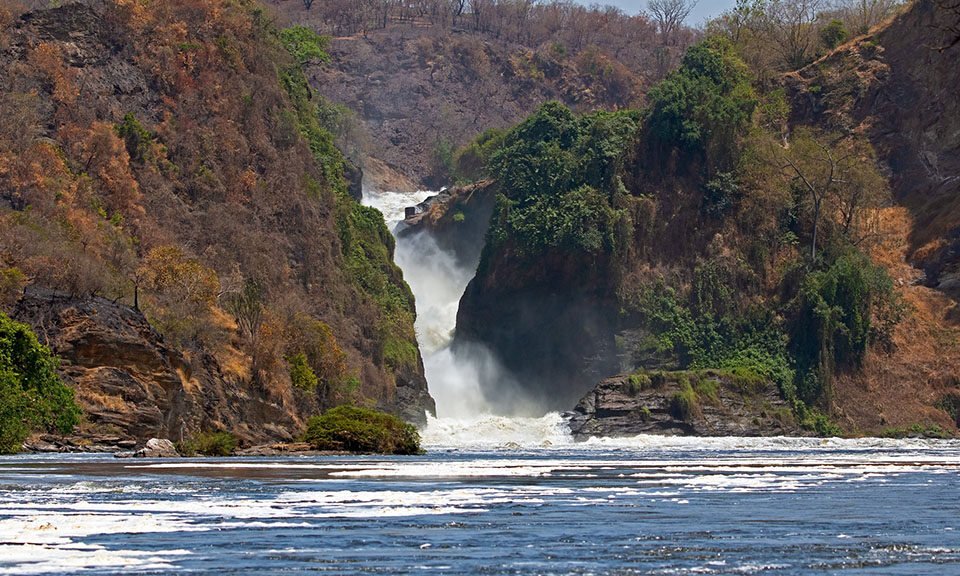 Best Uganda National Park for wildlife safaris