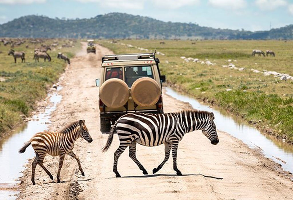 10-Day Kenya and Tanzania Migration Safari