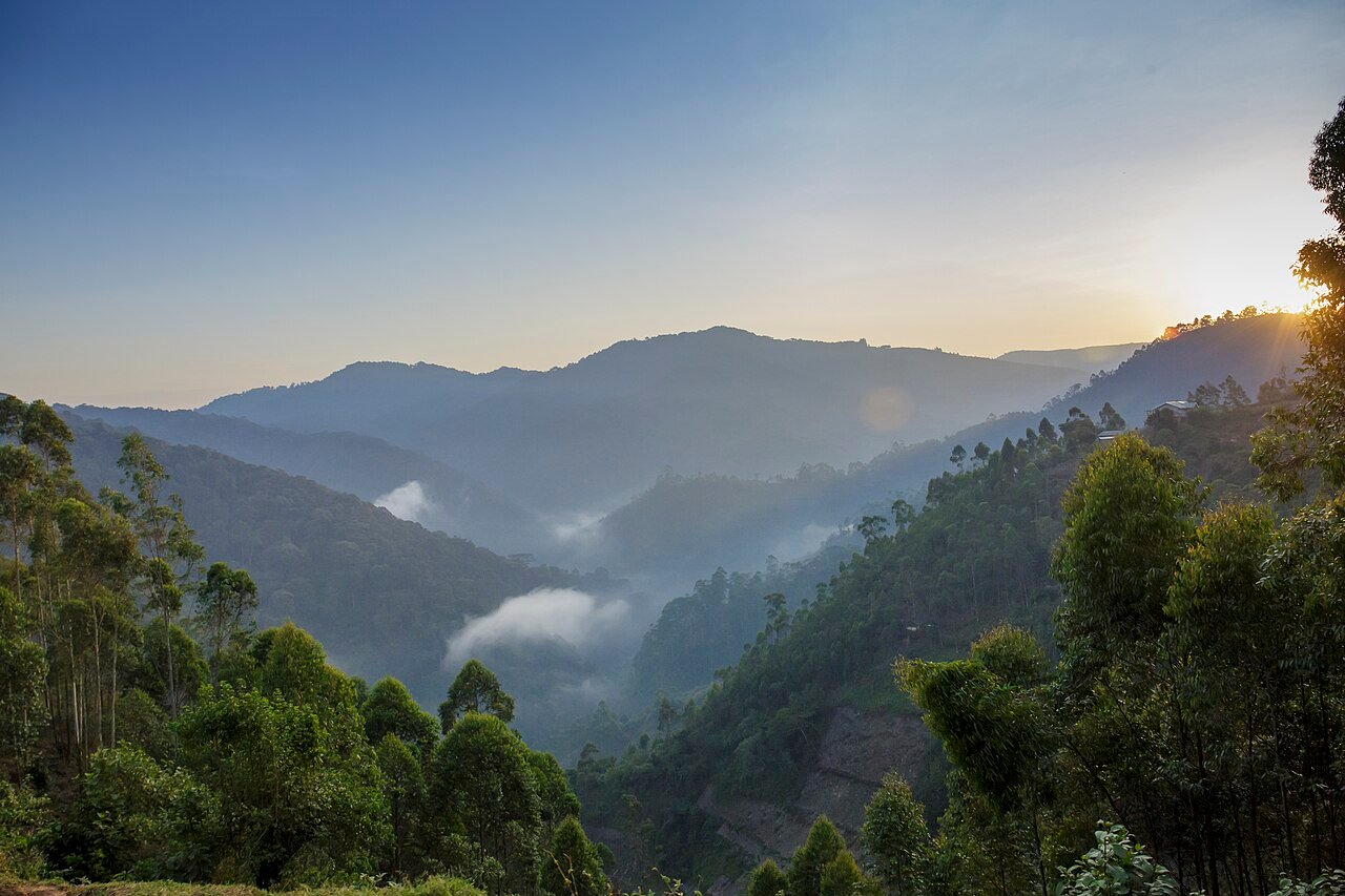 Bwindi Impenetrable National Park landscape on a Uganda Gorilla Trekking tour
