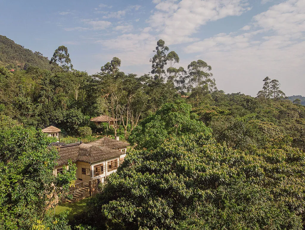Safari lodge surrounded by dense tropical forest near Bwindi Impenetrable National Park during a 12-days Uganda safari