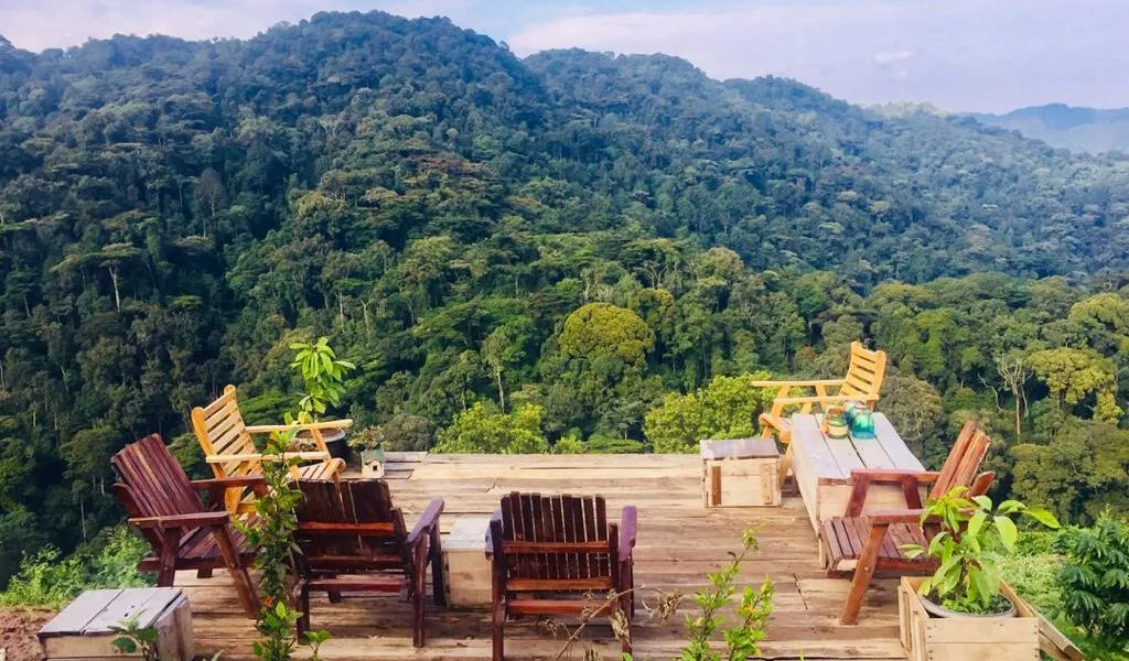 Safari lodge overlooking forest near Bwindi and Mgahinga gorilla trekking destinations