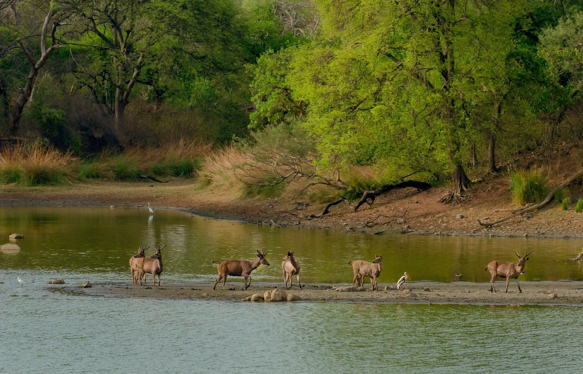 Uganda Eco Tourism