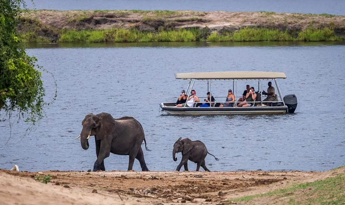 Boat safari viewing elephants during Uganda and Rwanda wildlife activities
