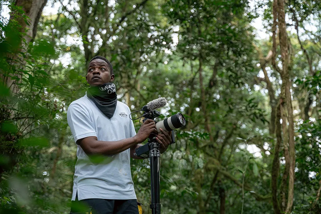 Wildlife photographer filming in Bwindi Impenetrable Forest during a 10 Days Uganda Safari