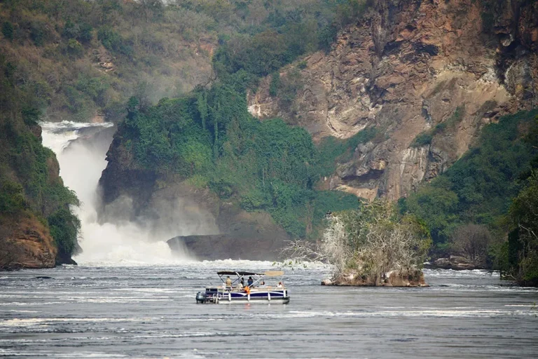 11 Day Uganda Rwanda Safari