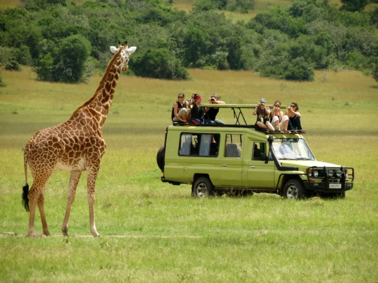 12 Days Uganda Safari