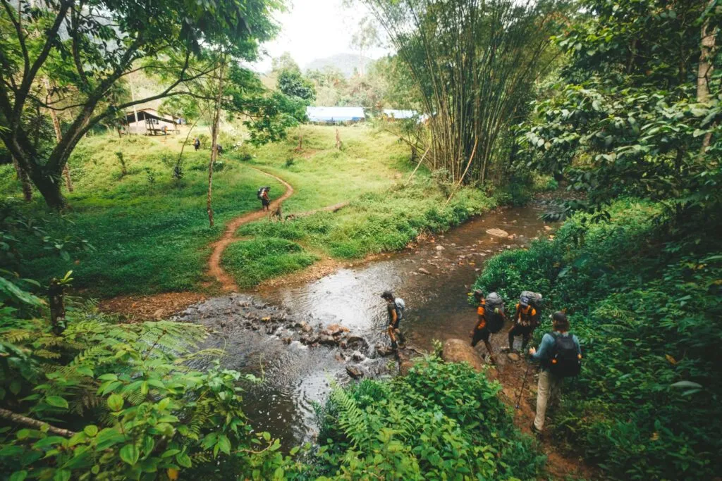 Trekkers crossing a forest stream during Uganda vs Rwanda gorilla trekking