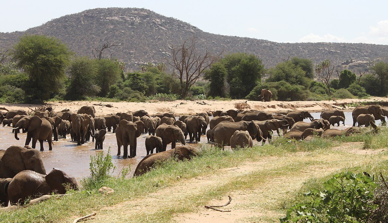 3 Days Samburu National Reserve Safari