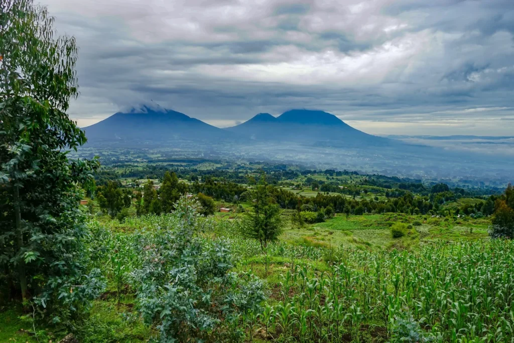 Volcanoes National Park mountain landscape in Rwanda